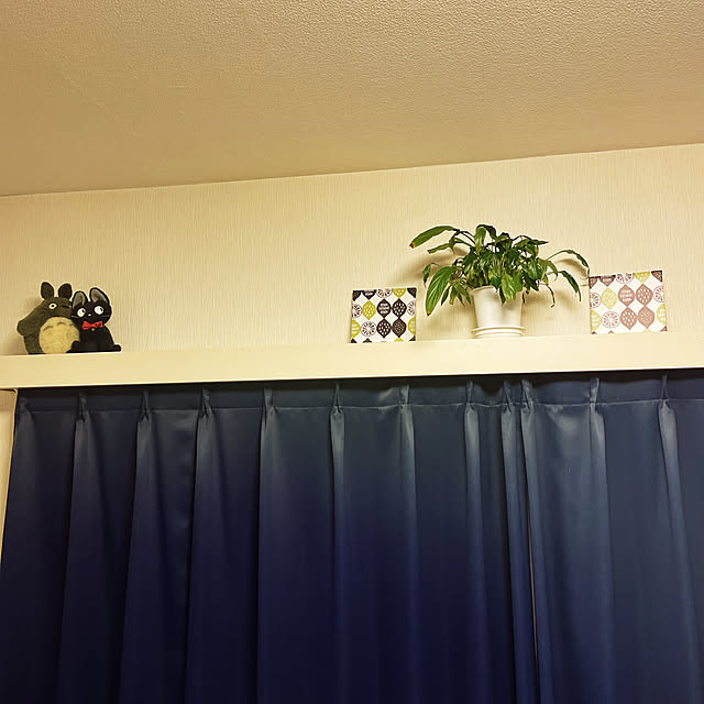 tamiyumaさんの実例写真