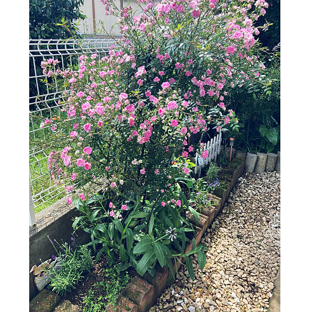 CoCo0617さんの部屋