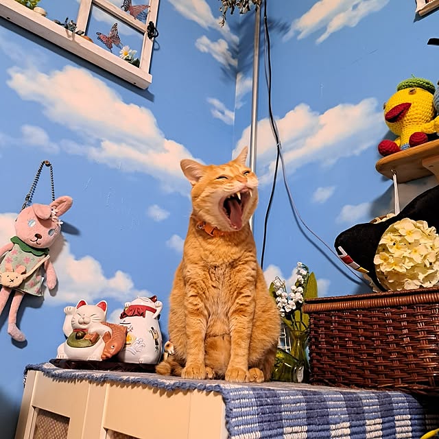 kiyohima229さんの実例写真