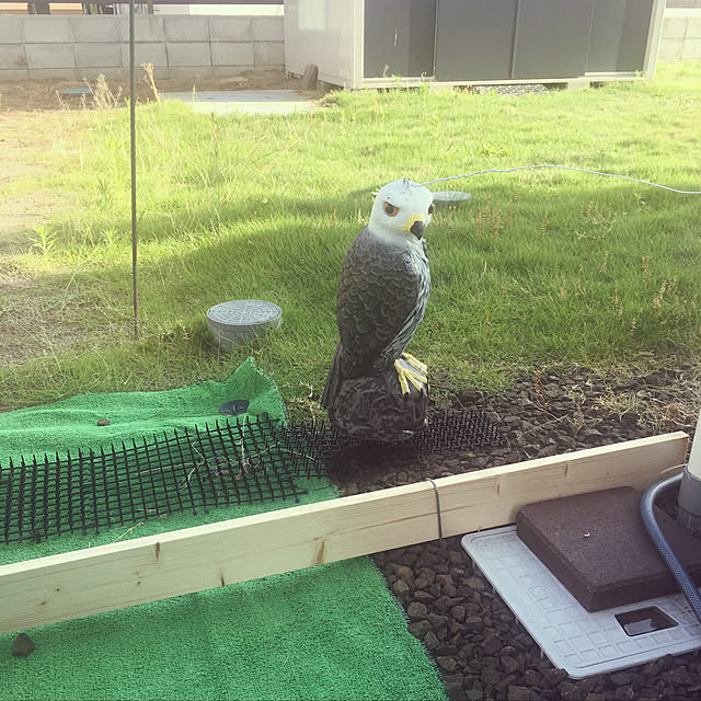awaさんの実例写真