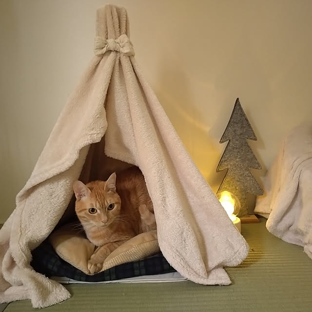 mayutan.さんの部屋