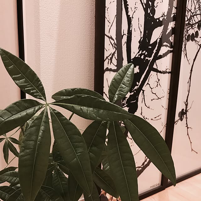 MI.aさんの実例写真