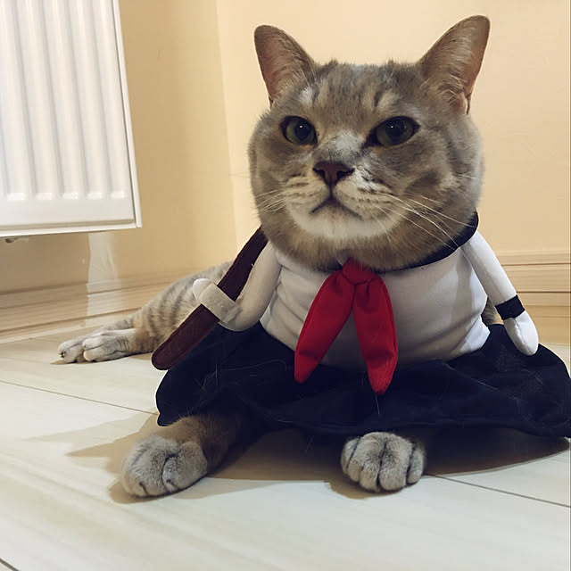 Leoさんの実例写真