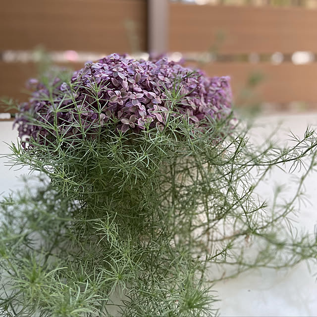 glassflowerさんの実例写真