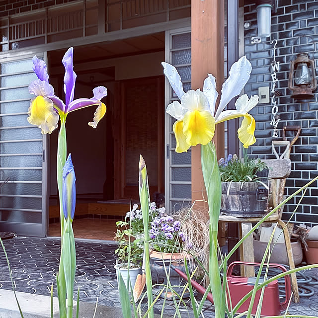 --rnrmm--さんの実例写真