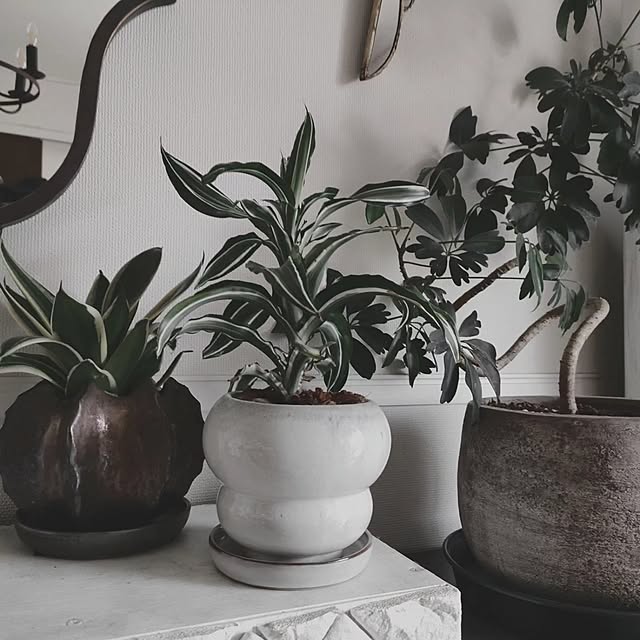 coco.Apartmanさんの実例写真