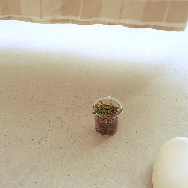 sun05さんの実例写真