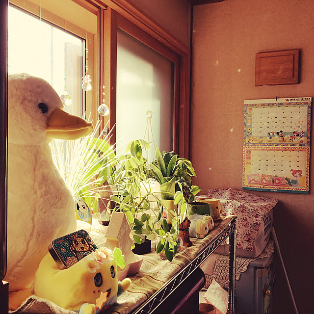 rieponさんの実例写真
