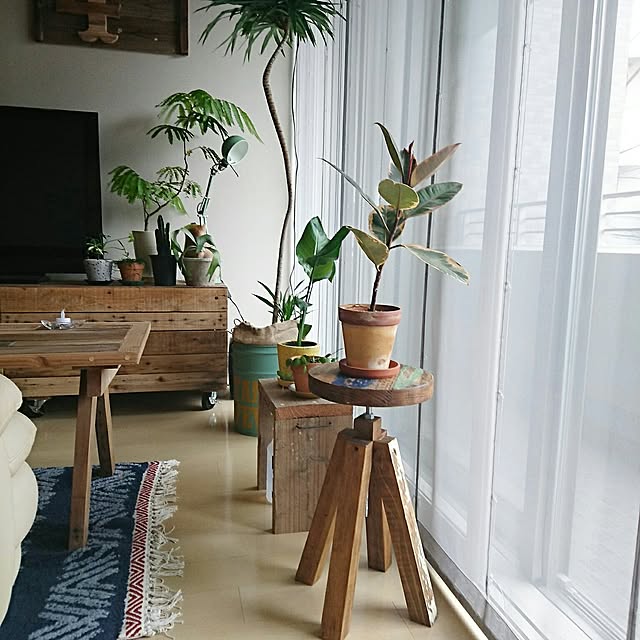 cafe-plageさんの実例写真