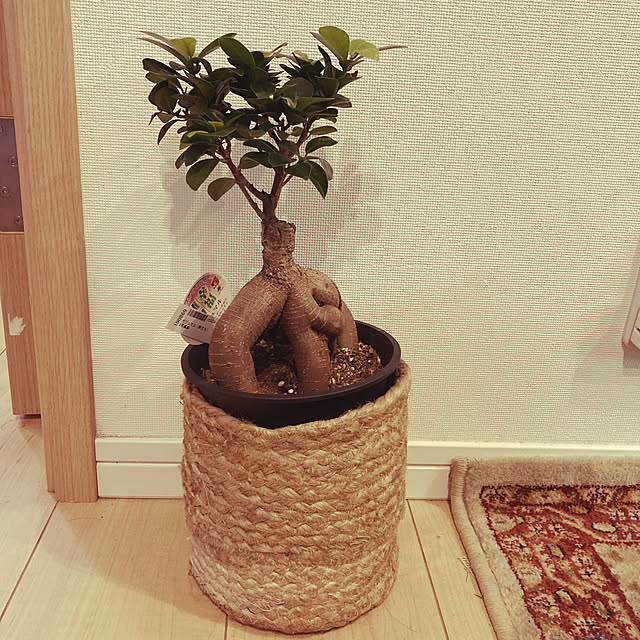 SSさんの実例写真