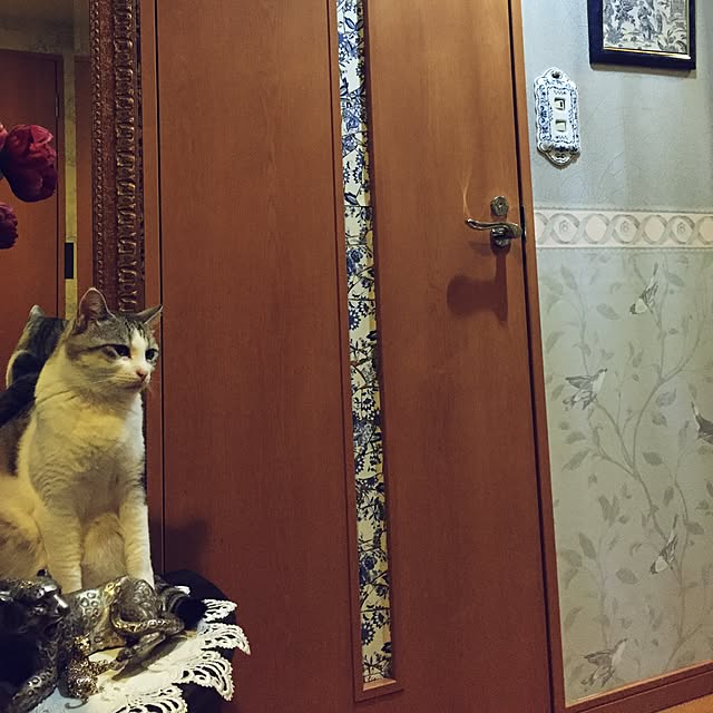 emmyyさんの実例写真