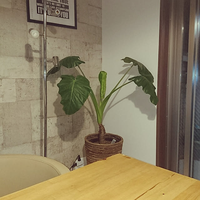 koooonoさんの実例写真