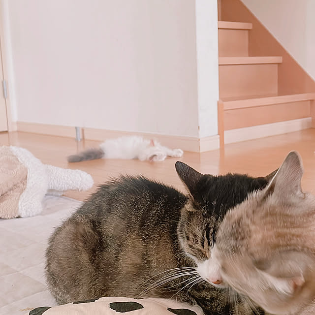 milkcocoaさんの部屋