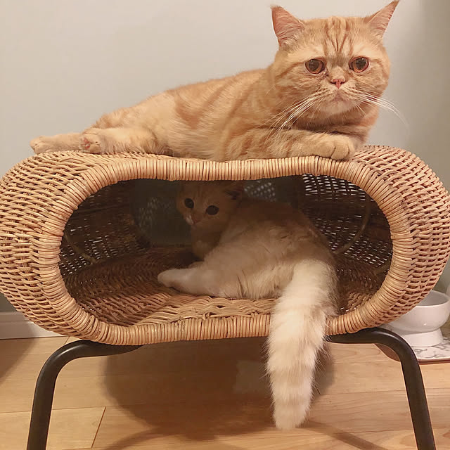 akkoさんの実例写真