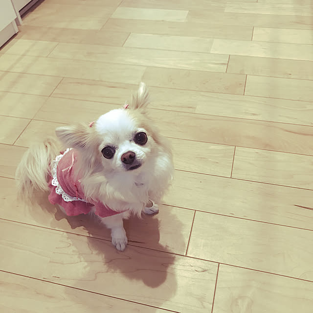 Sweetpeaさんの実例写真