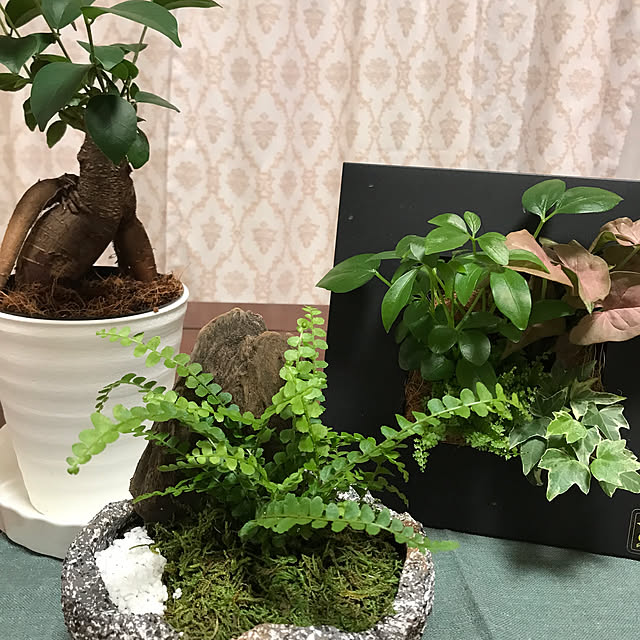 marikoさんの部屋