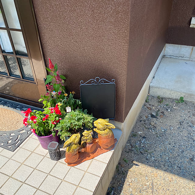 実例写真