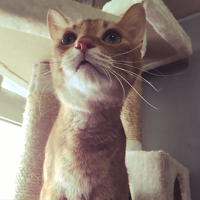 Tabasaさんの実例写真