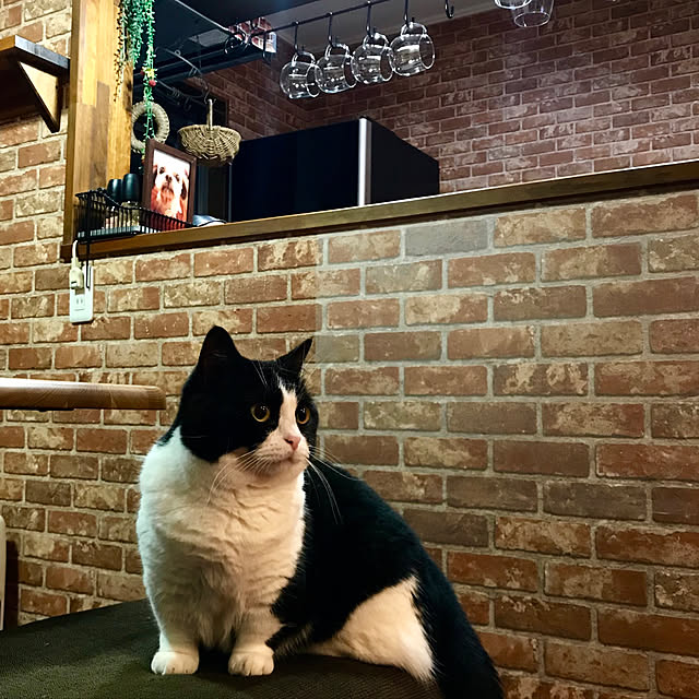 butachanさんの実例写真