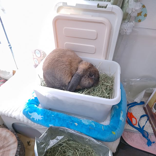 mariaさんの実例写真