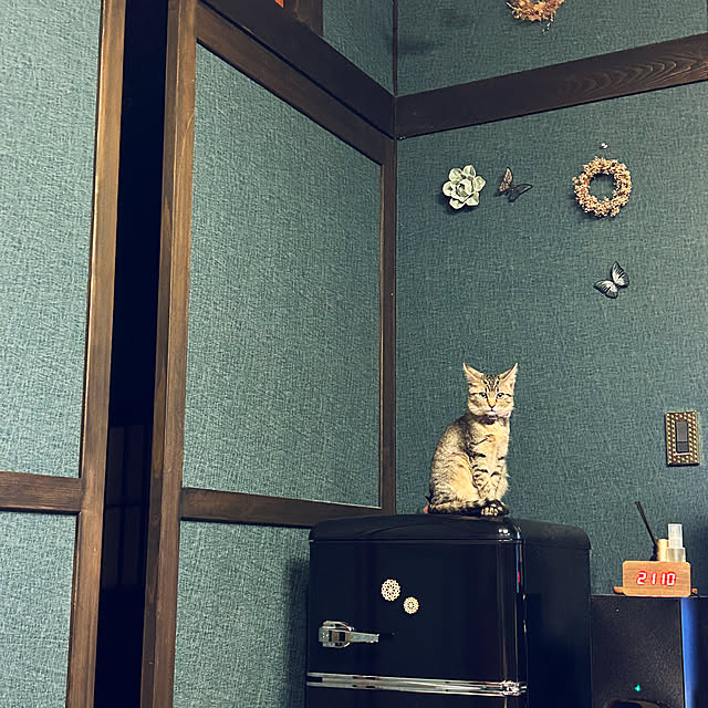 kanaさんの実例写真