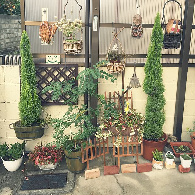 takakoさんの実例写真