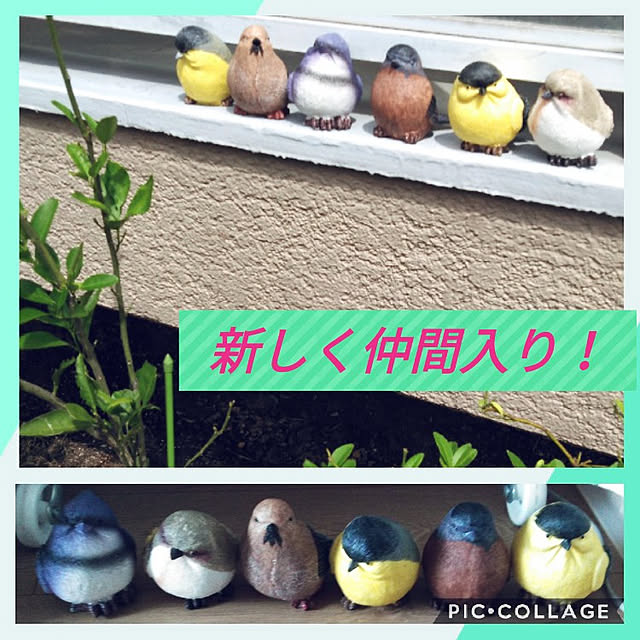 futukoさんの実例写真