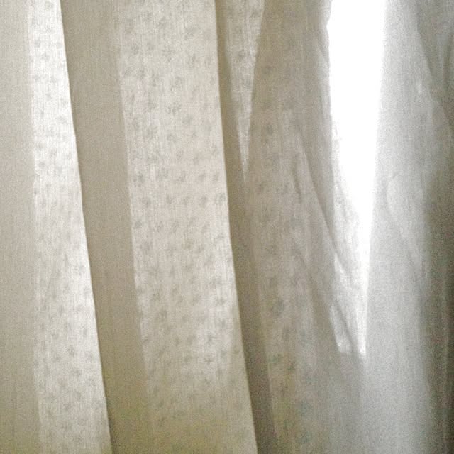 Akiさんの実例写真