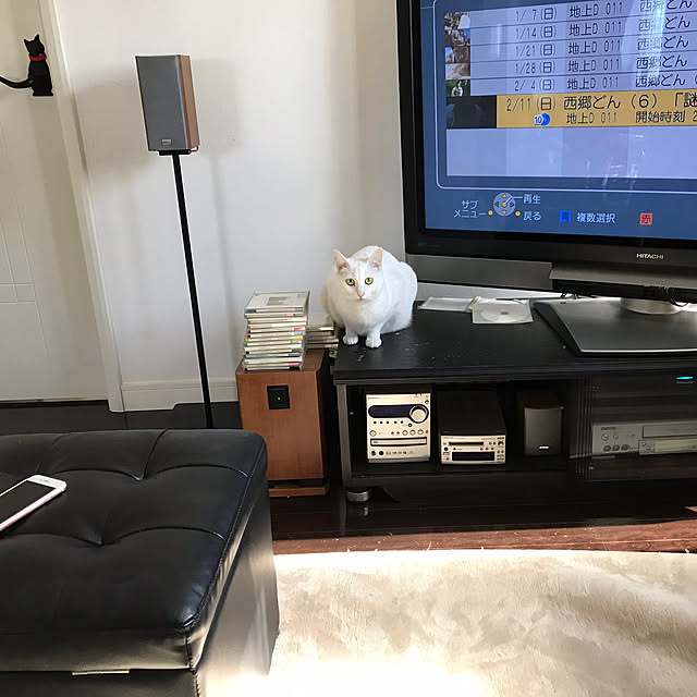akuakuさんの実例写真
