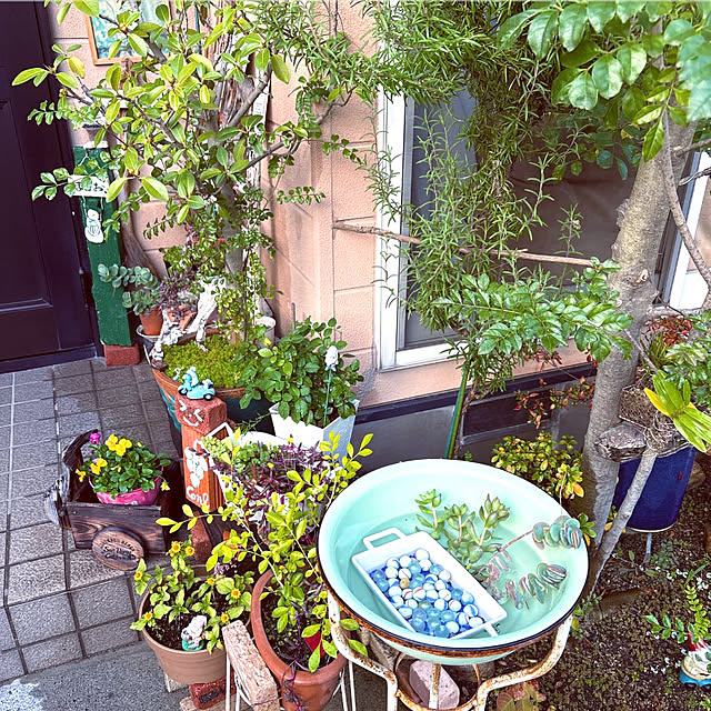 takakoさんの部屋