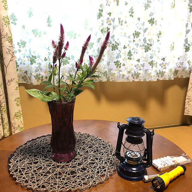 Fuku222さんの実例写真