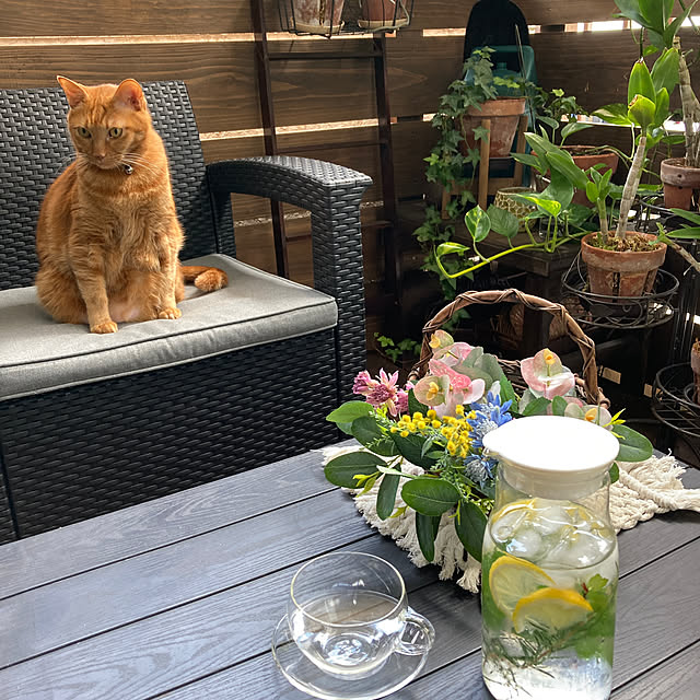 naochinさんの実例写真