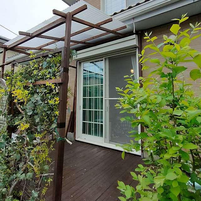 mind_komaさんの部屋