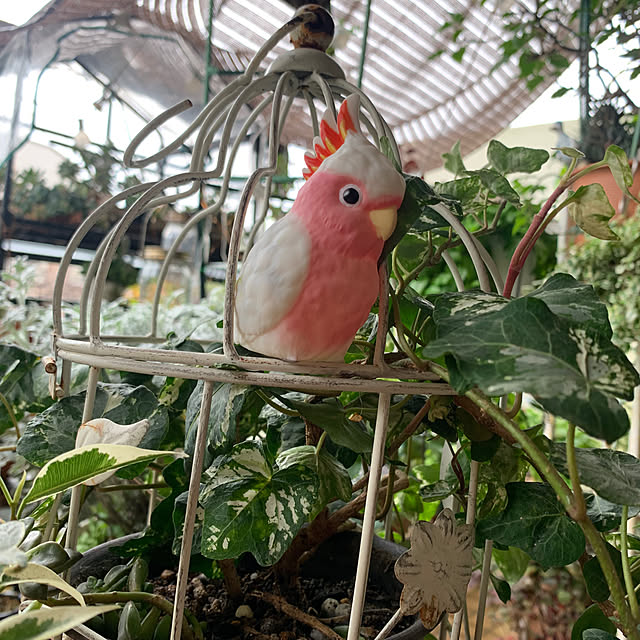 Aqettyさんの部屋