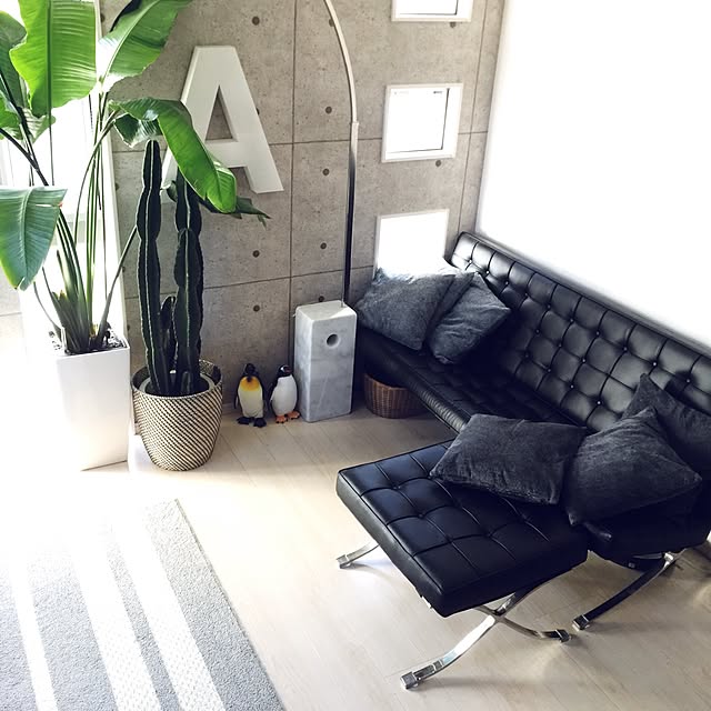 kazuya.designさんの実例写真