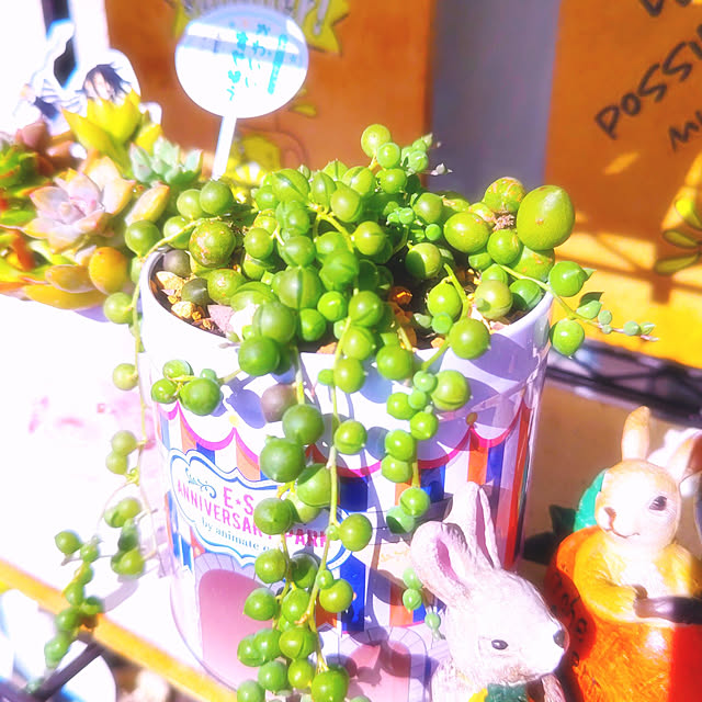 mariaさんの実例写真