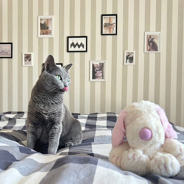 snoopyさんの実例写真