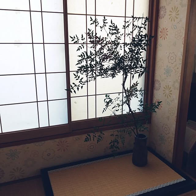 kakkaさんの実例写真