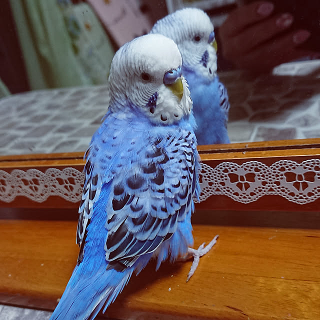 sueponさんの実例写真