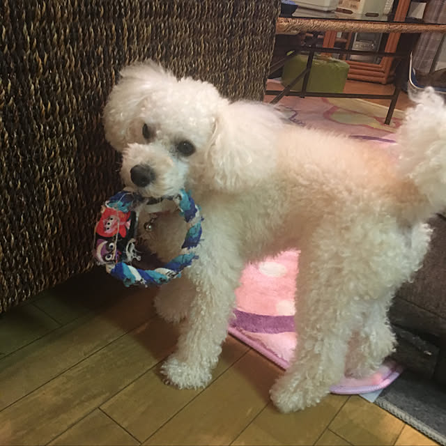 Thessさんの実例写真