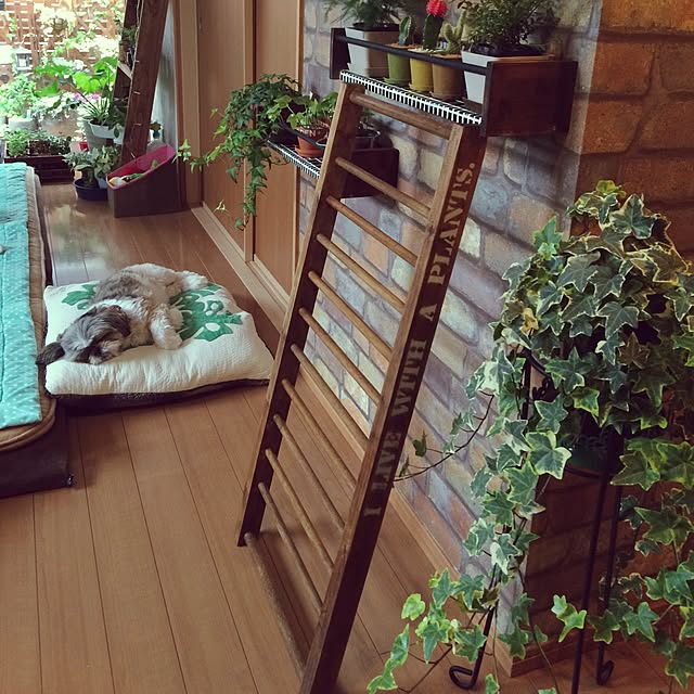 ANNAさんの実例写真