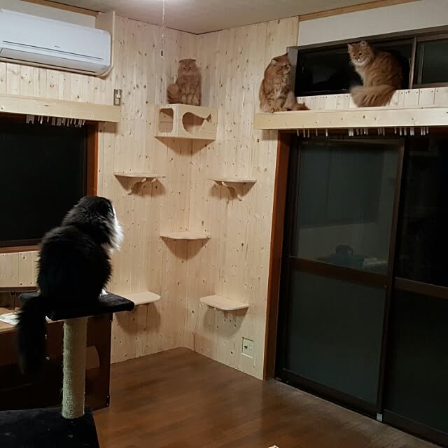 coconekoさんの実例写真
