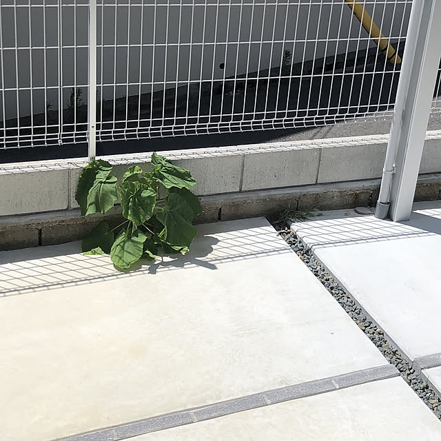 maiさんの実例写真