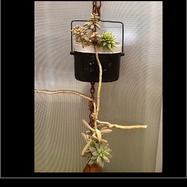rekoさんの実例写真