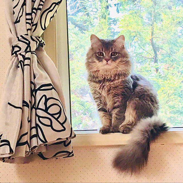Namyさんの実例写真