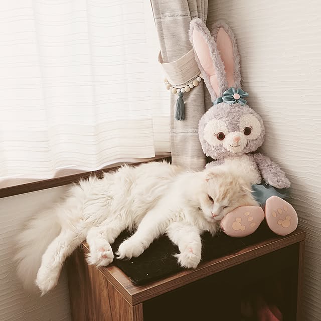 luna.comさんの実例写真