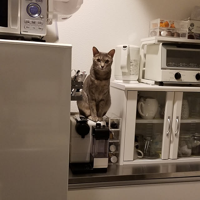 yukiさんの実例写真