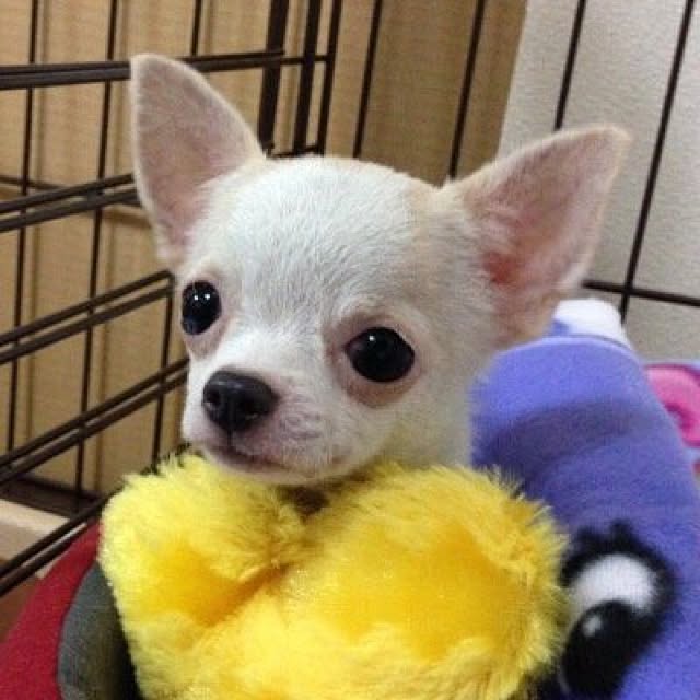 unataroさんの実例写真
