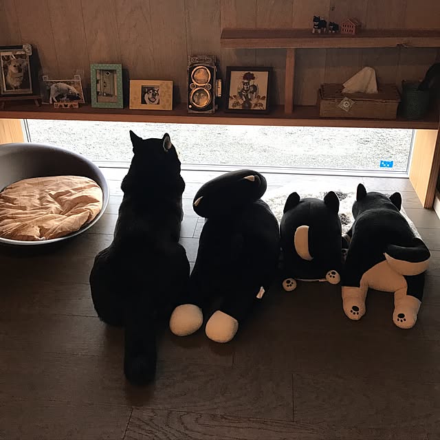 実例写真