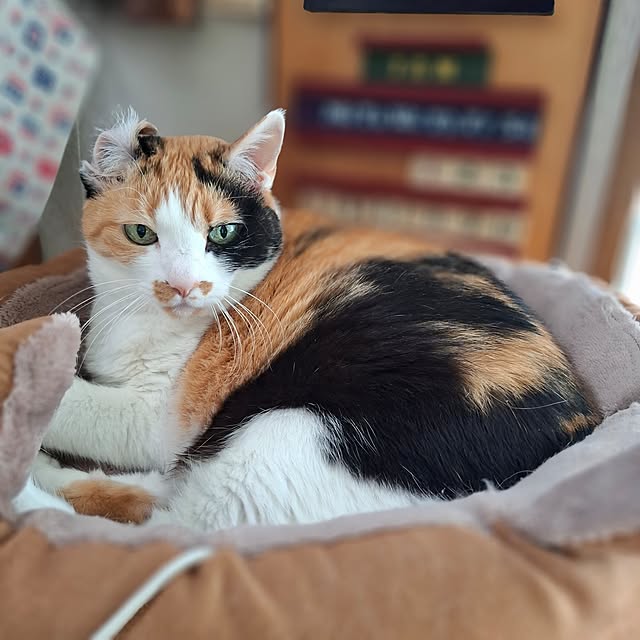 nanaさんの実例写真